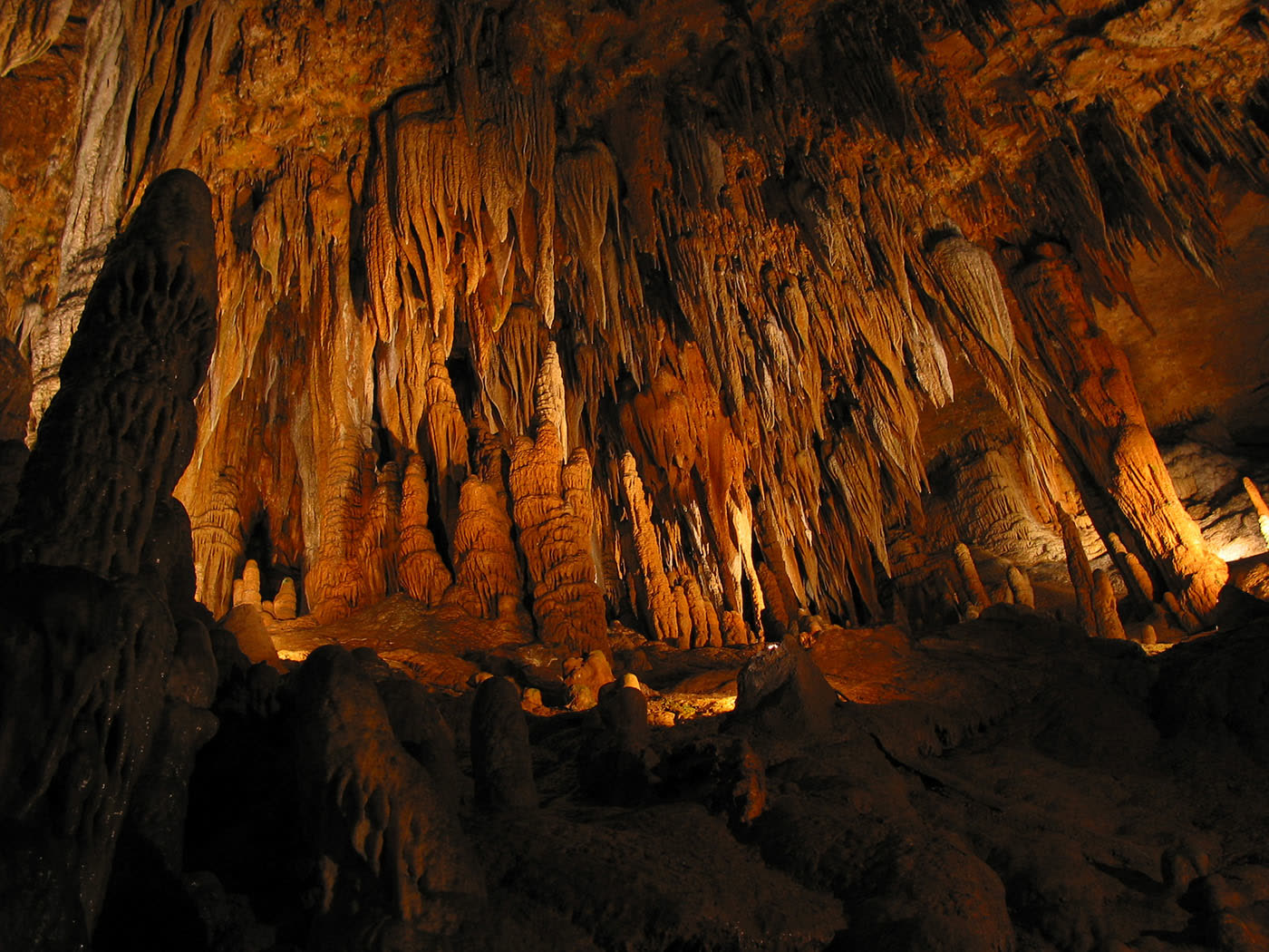 Inner Space Caverns near Round Rock, Texas